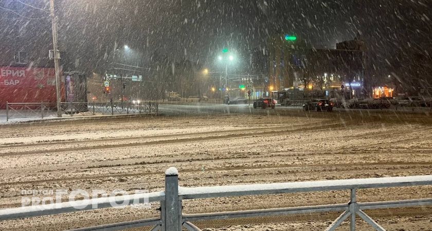 В Коми 13 ноября потеплеет до нуля градусов: ожидается мокрый снег