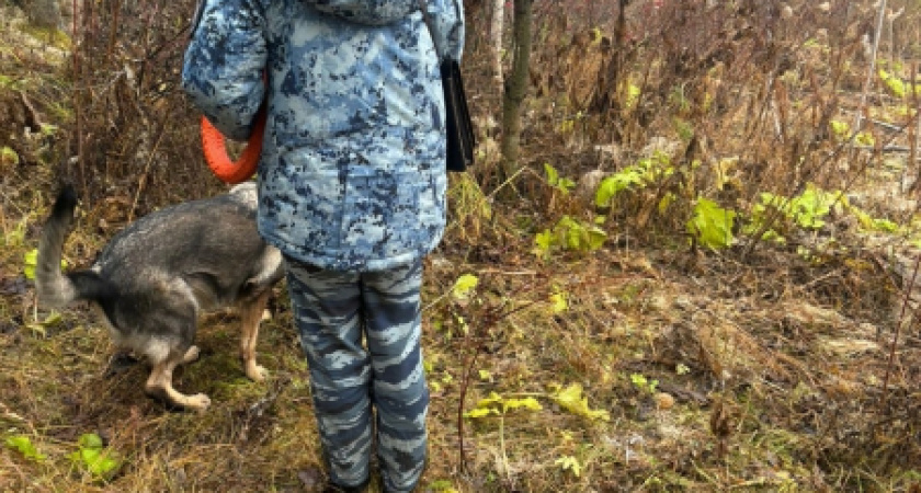 В Сыктывкаре задержали кладмена с 6 граммами наркотиков: ему грозит до 20 лет тюрьмы