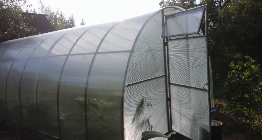 Что сделать в саду и огороде до конца ноября: дачные работы для богатого урожая следующего года