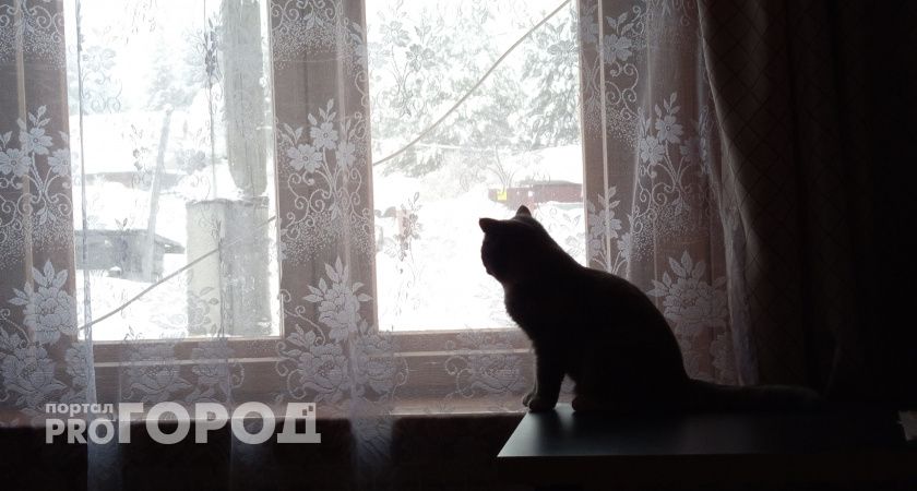 Метели и штормовые ветры: синоптики рассказали о погоде в Коми на 17 ноября 