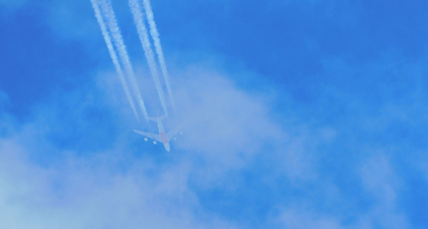 Слетала с подругой в Питер на два дня: зареклась, что больше не вернется никогда