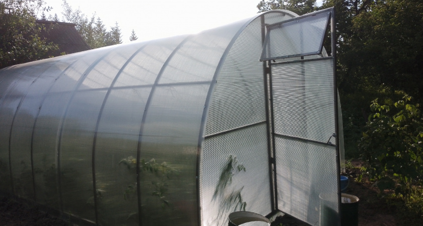 Как подготовить теплицу к зиме, чтобы весной не остаться без урожая