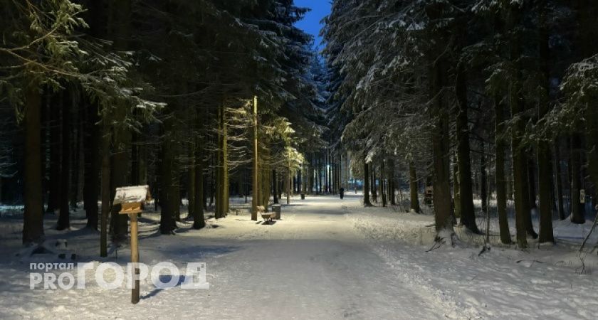 В Коми 26 ноября ожидаются снегопады и -16 градусов