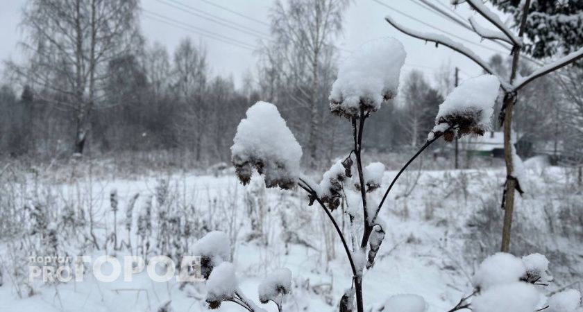 В Коми ноябрь может стать самым влажным месяцем за последние 100 лет