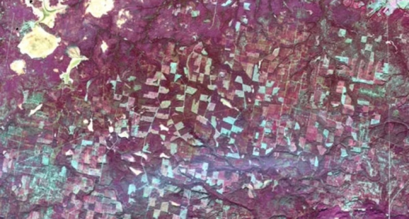 Специалисты из Коми обнаружили из космоса более 10 тысяч гектаров леса для восстановления