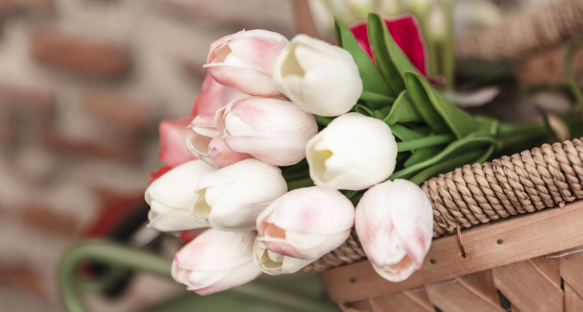 Глава Коми Ростислав Гольдштейн поздравил женщин республики с Днём матери