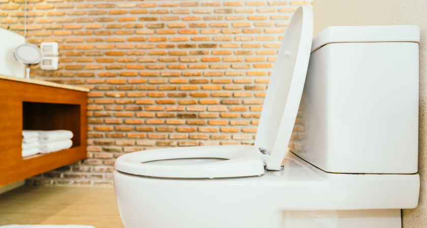 Японцы садятся на унитаз лицом вперед — и вот почему: причина поражает — но логика в этом есть