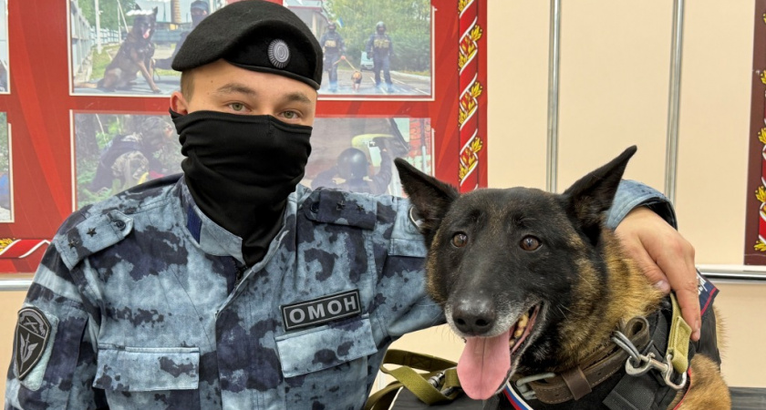 В Сыктывкаре проводили на пенсию бельгийскую овчарку Миру, наградив медалью Росгвардии за 7 лет службы