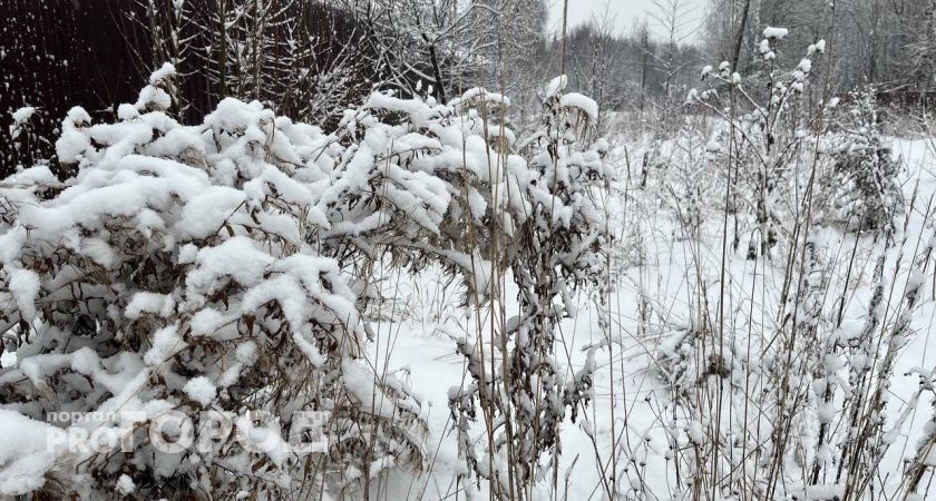 В Коми календарная зима началась с аномального тепла: температура воздуха на 10 градусов выше нормы 