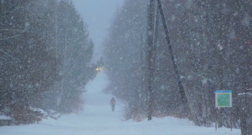 В Республике Коми 3 декабря синоптики обещают мокрый снег и +1 градусов тепла 