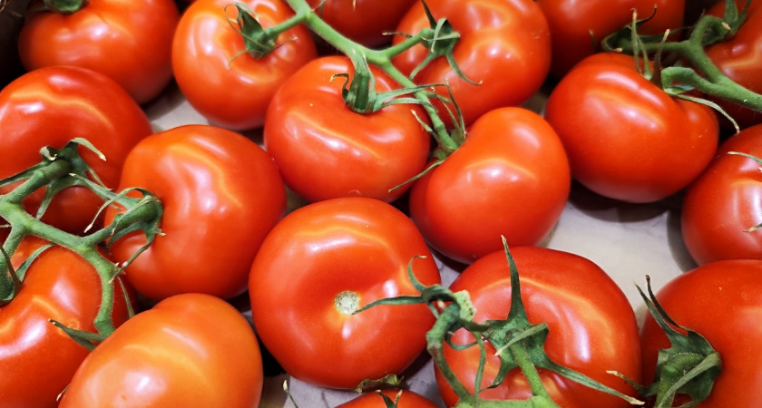 Сплошное помидорное "мясо", аромат дыни и почти без семян - новый сорт томатов появился на грядках