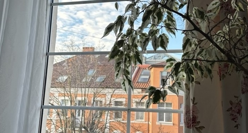 Ставлю на подоконник одну вещь и всю зиму живу припеваючи: в доме тепло даже в -40°C и пахнет сибирским лесом