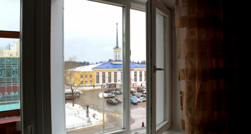 Ставлю на подоконник одну вещь и всю зиму живу спокойно: в доме тепло даже в -40°C и пахнет хвойным лесом