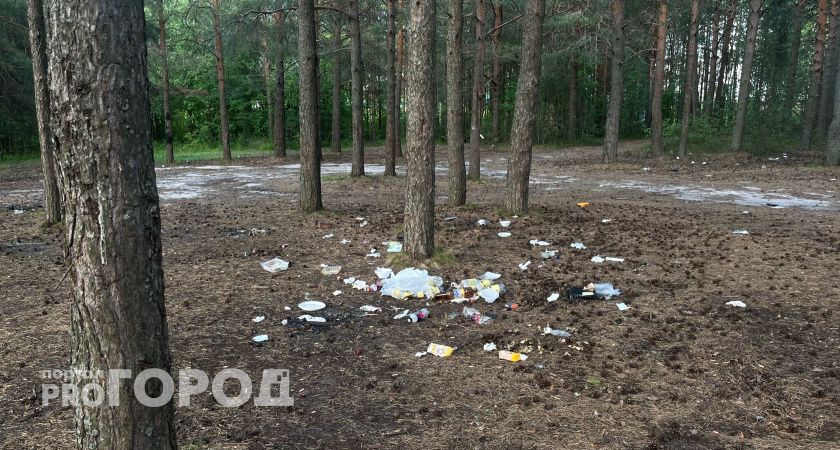 В Коми огромную несанкционированную свалку уберут без помощи сторонних организаций