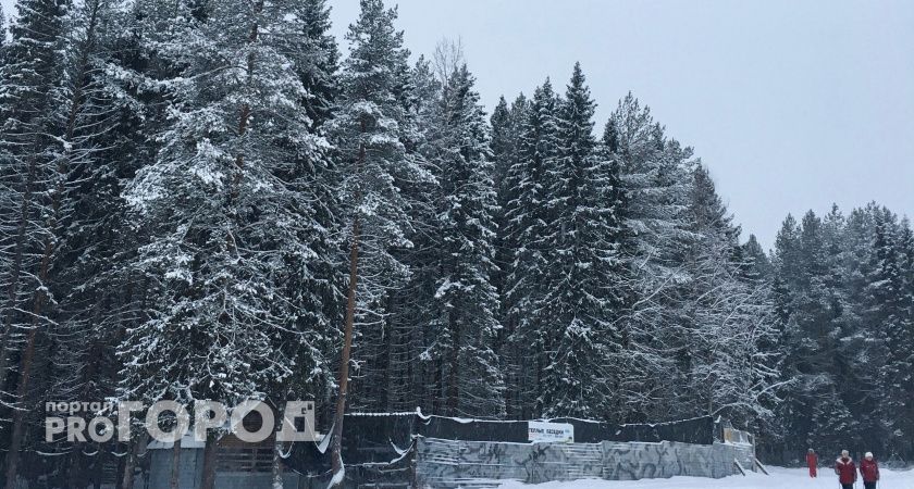 Спасатель из Коми дал советы, как не замерзнуть в холода на улице 