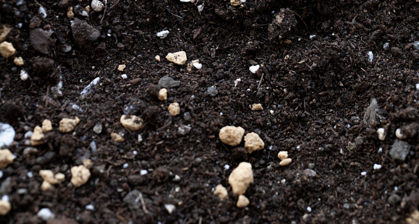 Древесная зола для сада: секрет обильного урожая в следующем году - последние дачные штрихи