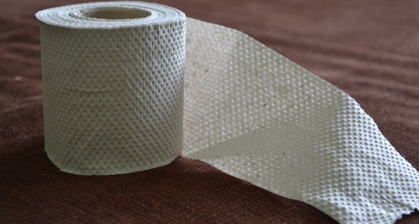 Кладу туалетную бумагу в холодильник и поражаюсь результату: вот зачем это делаю — новый лайфхак немецких хозяек