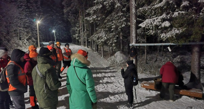 В Коми волонтеры "Лиза Алерт" в ноябре искали 18 пропавших человек