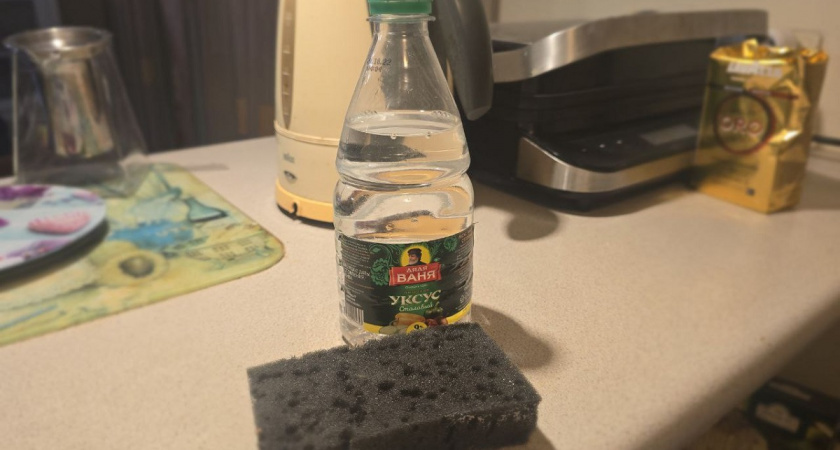 Берем соль, уксус и губку: россиянки очарованы новым раствором – всегда теперь добавляют, весь дом от пола до потолка сияет чистотой