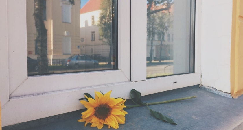 Подоконник прослужит 15 лет без замен: всего два материала, которые не выгорают и лучше пластика