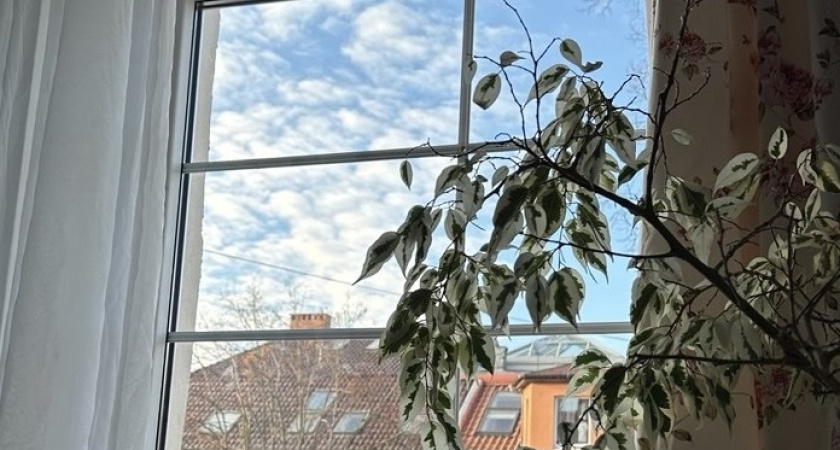 Одна чайная ложка — и окна сверкают как первый снег до поздней осени: копеечный трюк для ленивых