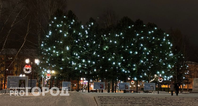 Сыктывкарцы рассказали о главных целях на 2026 год