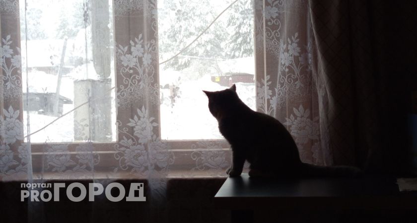 В Коми объявили штормовое предупреждение: в ближайшие часы республику накроют сильные снегопады