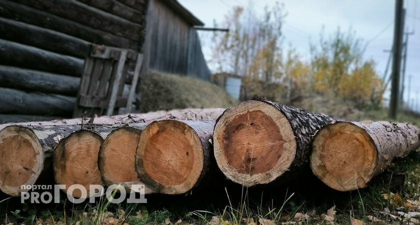 В Коми планируют вложиться в деревообработку