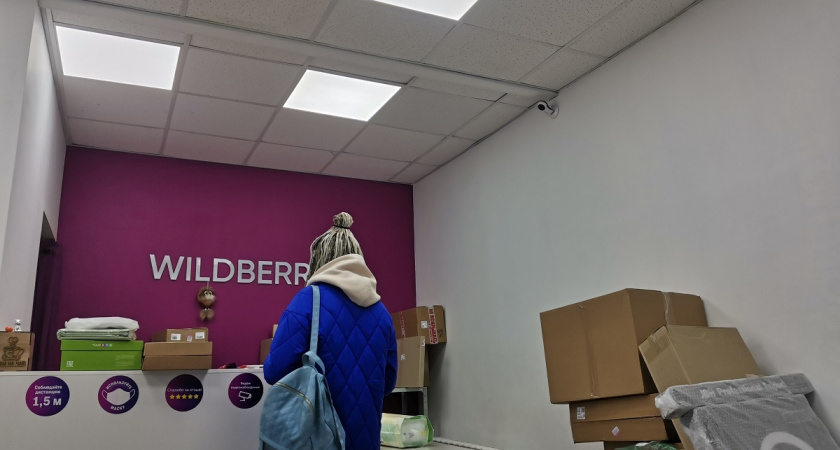 Что подарить на Новый год-2026 на любой бюджет: небанальные идеи с Wildberries в диапазоне 250-1500 рублей