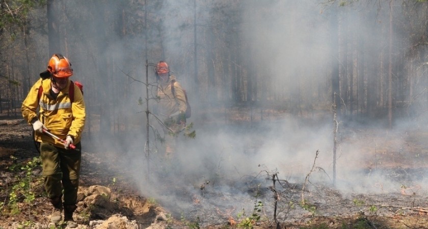 Коми помогут защитить леса от огня: федеральный центр выделил деньги