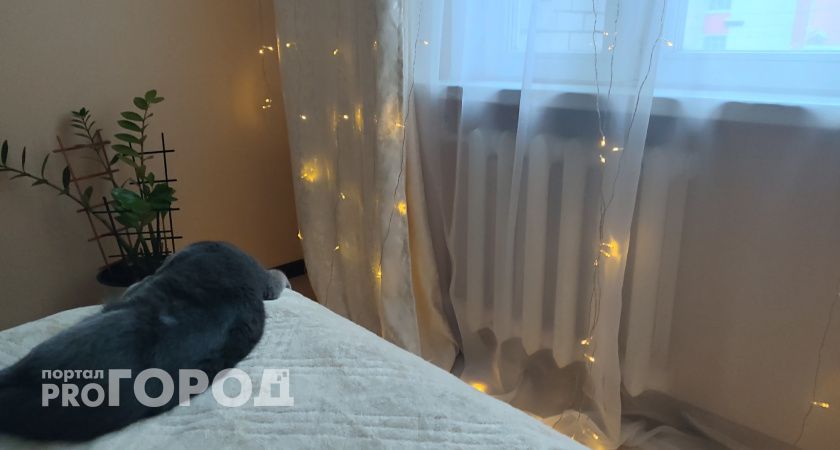 Сыктывкарцы рискуют безопасностью, обогревая дома