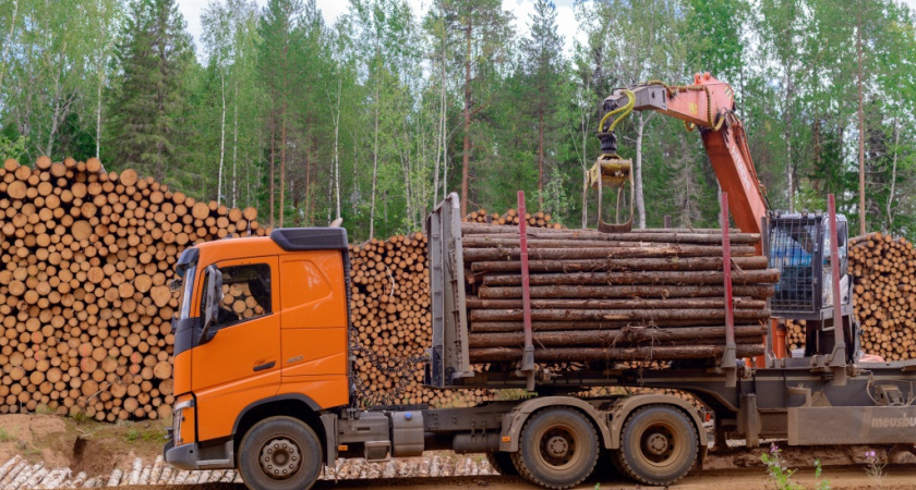 Сыктывкарский ЛПК успешно провел аудит цепочки поставок