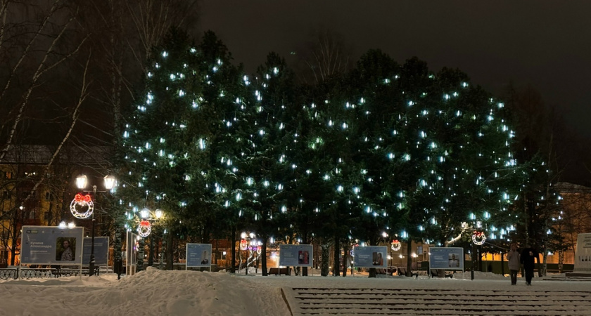 На что россияне тратят больше всего времени перед Новым годом?