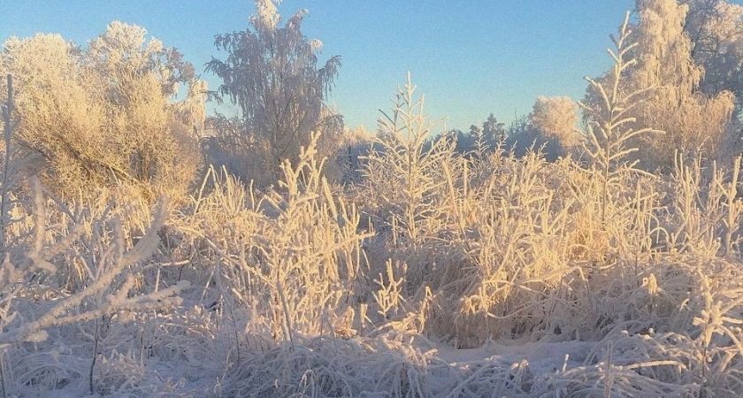 Ученые Коми бьют тревогу: потепление может выпустить углеводороды в природу