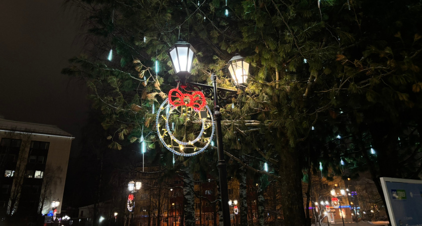 Новогодний стол в 2025 году: во сколько обойдется праздник и что кладут в корзину россияне