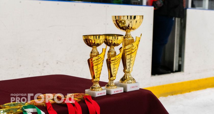 Борец из Коми взял "серебро" на чемпионате мира по бразильскому джиу-джитсу в Санкт-Петербурге