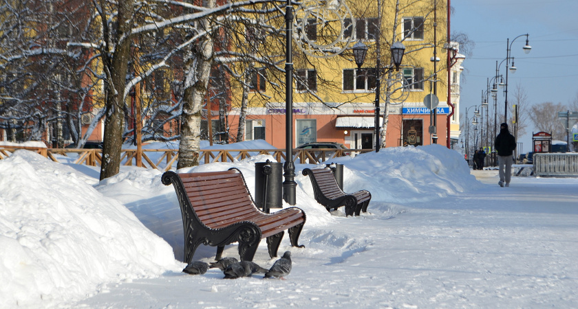 Стихийный Гороскоп на январь 2026: Что шепчут звезды каждому знаку зодиака