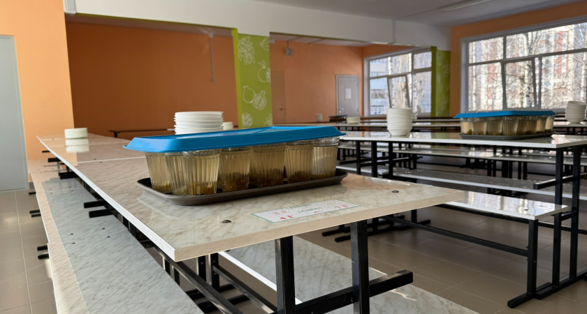 В Сыктывкаре определили новую стоимость "бесплатных" школьных завтраков и обедов