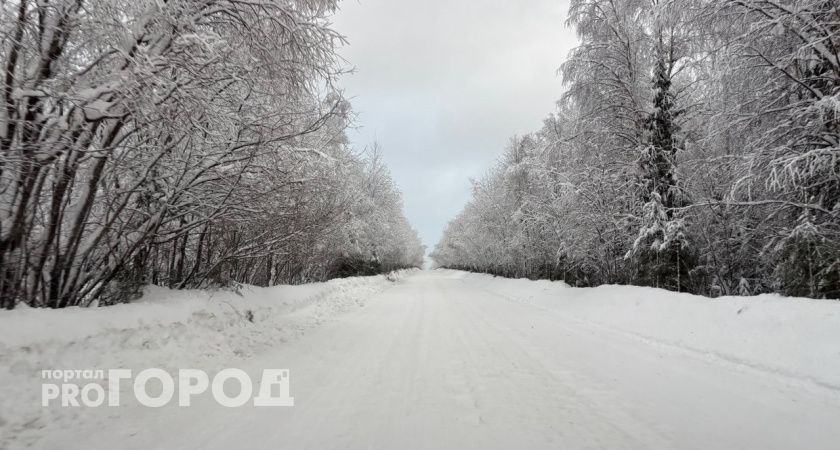 В Республике Коми 30 декабря подморозит до -29 градусов 