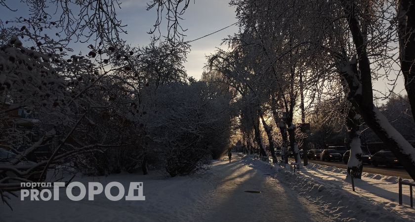 В одном из районов Коми ожидается опасное нарастание изморози