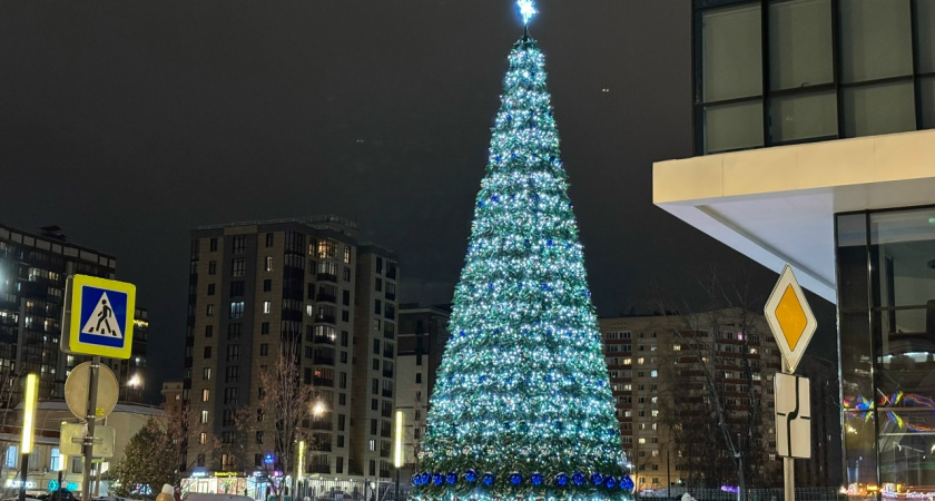 Питер, Казань или Красная Поляна - куда россияне поедут отдыхать на Новый год