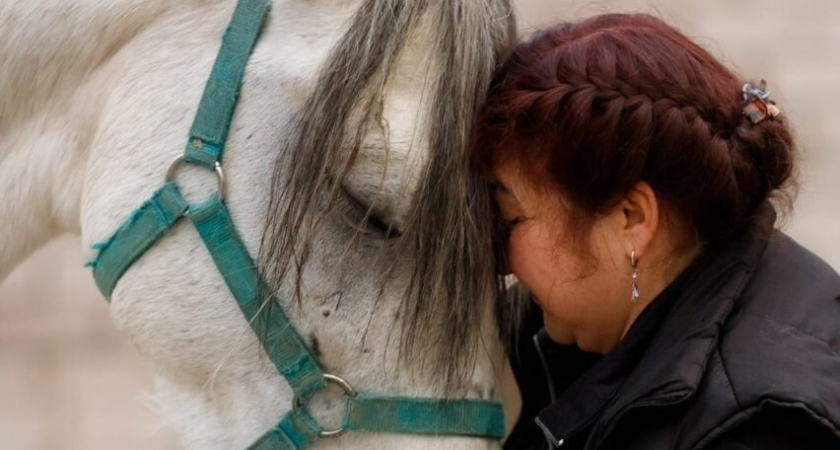 Встречая год Лошади: как в Коми хранят традиции коневодства