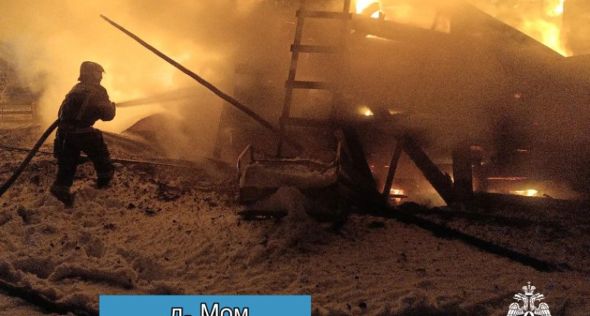 В Коми пожарные выявили причины четырех трагических возгораний в новогоднюю ночь