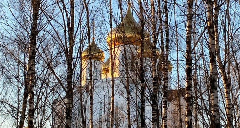 Десять священнослужителей в Коми завершили ежегодную программу переподготовки