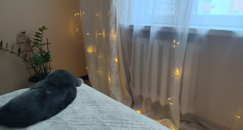 Беру спичку - и из окон не сифонит даже при сильном ветре: герметичность за 2 минуты - подоконник больше не холодный