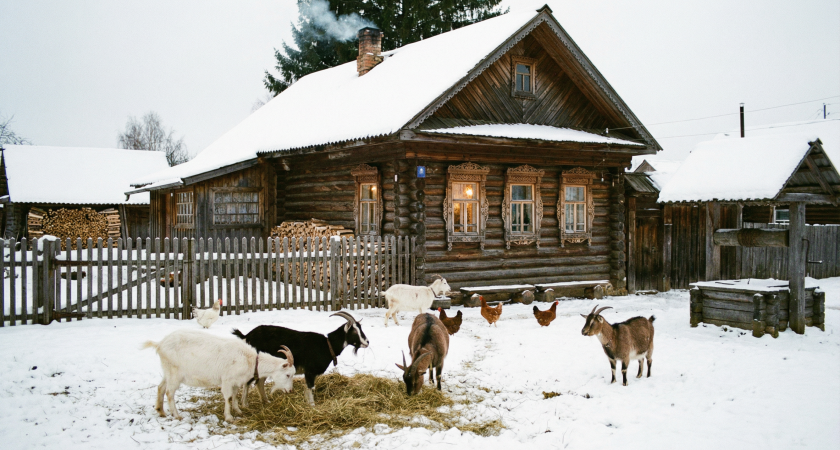 Ради мечты продал бизнес, квартиру мерс и переехал с батей в деревню: свожу концы с концами, зато доволен как слон