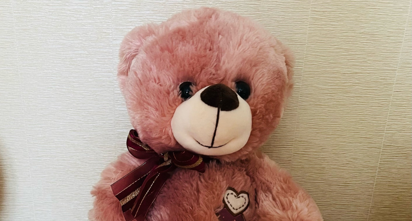 В Коми изменились меры соцподдержки 