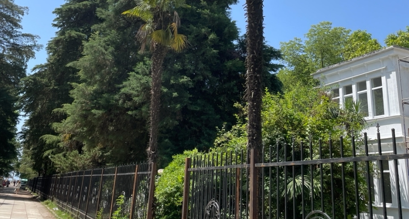 Деньги не успеваем по карманам рассовывать: вот что нам ответил таксист в Абхазии. Отзыв туриста