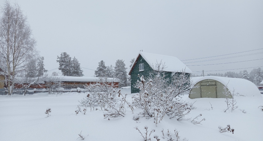 Снежный покров в Коми достиг 75 сантиметров из-за циклона