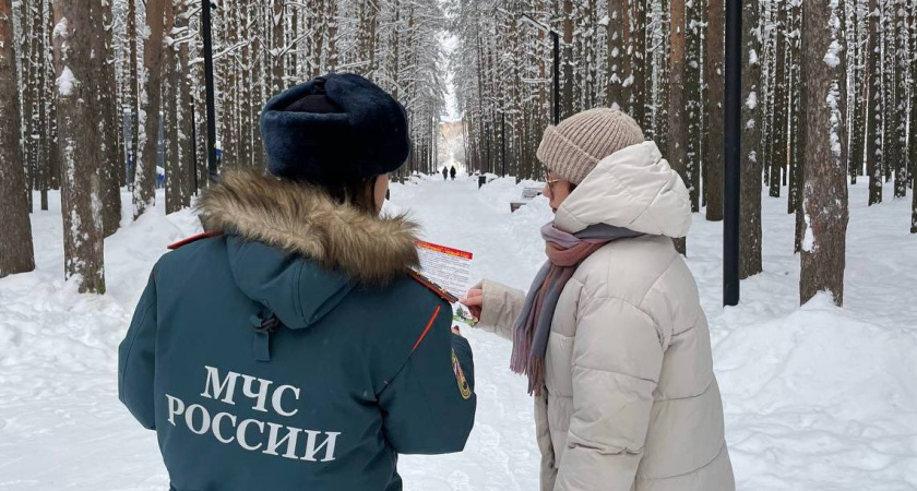 В Коми из-за пожаров за праздники погибли 6 человек